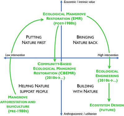 Mangrove Rehabilitation and Restoration as Experimental Adaptive Management